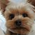 Kelli Molthen's profile image