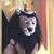 Fred Flamenbaum's profile image