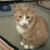 Julina Lilly's profile image