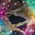 Kathie Jung-Hayes's profile image