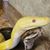 Rasheal Adamson's profile image