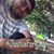 David Saldana's profile image