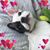 Tracy Boling's profile image