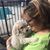 Pam Pendley Johnson's profile image