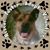 Caryn Best's profile image