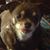 David J. Gillespie's profile image