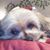 Rhonda Wray's profile image
