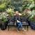 Laura Laye Duncan's profile image