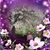 Jycaniel Yarib Bautista's profile image