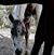 Deborah Kaye DiGrazia's profile image