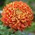 Christine Marie's profile image