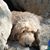 Debra Kilian's profile image