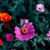 Cathy M. Esensoy's profile image