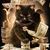 Joshua Jones's profile image