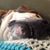 Beth Carlisle's profile image