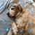 Dawn Bostic's profile image
