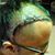 Dan Jose's profile image