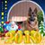 Donna Brummel LeJeune's profile image