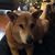 Cathy Caggiano Tikellis's profile image