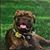 Megan Russell Gump's profile image
