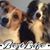 Jeanie Cole's profile image