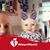 Katrina Danenhower's profile image