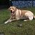 Darlene Beckner's profile image