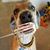 Yvonne Navarro's profile image