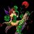 Irish Rose's profile image