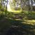 Anna Hampel's profile image