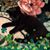 Joyce Sherren Wasilewski's profile image