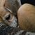 Berly Griffin's profile image