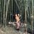 Rebecca Jo Mannino's profile image