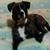 Lois Murphy-Brown's profile image