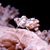 Suria Nataadmadja's profile image