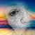 Rosa Carlos's profile image
