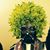 Michael Frisbee's profile image