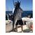 Justin Link's profile image
