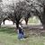 Sarah Elizabeth Mitchell's profile image