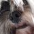 Debbie Eggert's profile image