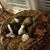 Heather Cullmer's profile image