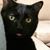 Rene Steele's profile image