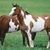 Linda George's profile image