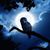 Martha Nagi's profile image