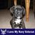 Susan De La Riva's profile image