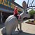 Carrie Emke's profile image
