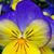 Linda Agostini Hogan's profile image