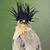 Sandi Guier Harris's profile image