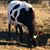 Regina Cline-Jordan's profile image