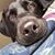 Melissa Lecarpentier's profile image